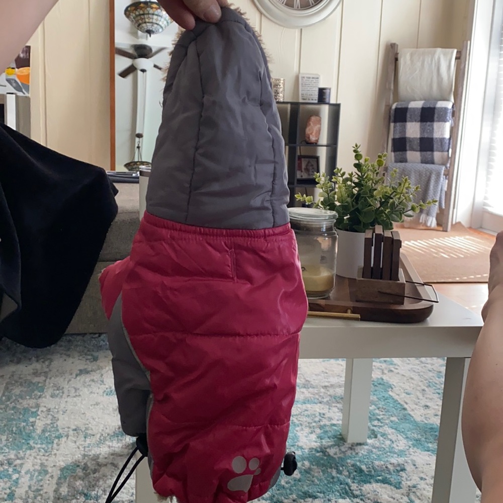 Dog jacket